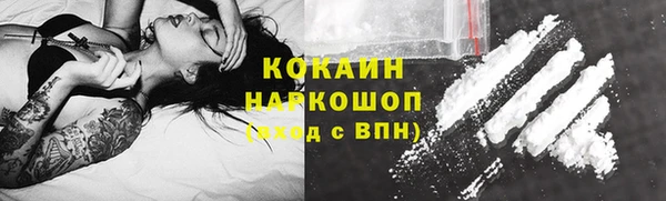 индика Белокуриха