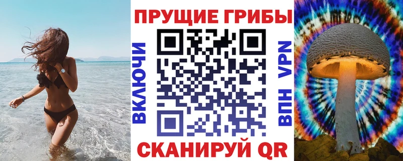 купить закладку  Чкаловск  Галлюциногенные грибы Psilocybe 